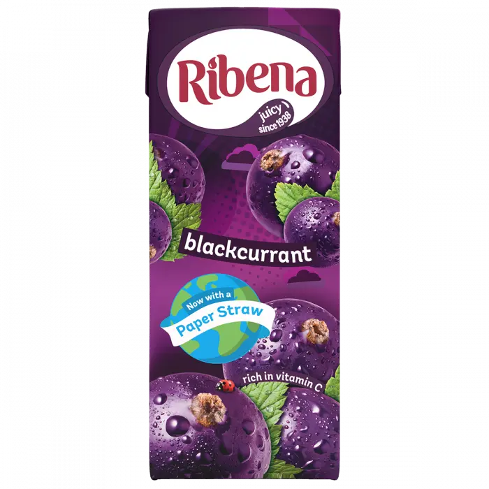RIBENA BLACK CURRANT CARTONS X24