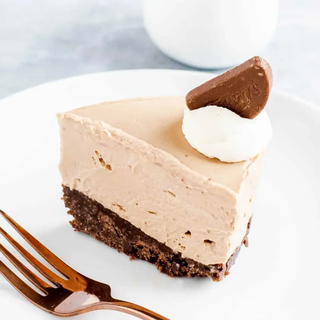 JD TERRYS CHOCOLATE ORANGE CHEESECAKE x16