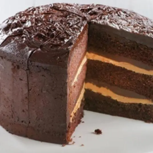 CHOCOLATE FUDGE FIXATION