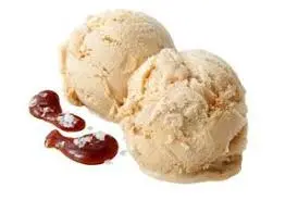 [TUBZ00452] SALTED MILK CARAMEL ICE CREAM 5LTR
