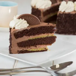 [JDFG0020] JD LUXURY FERRERO ROCHER GATEAU