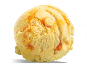 [TUBZ00307] MANGO SENSATION ICE CREAM 5LTR