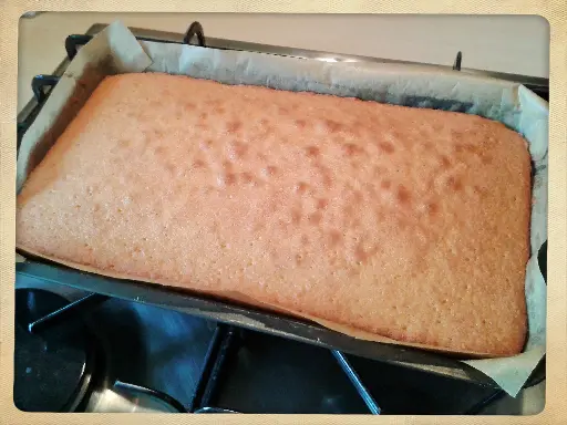 [DELI99] PLAIN SPONGE CAKE TRAY 18"X30"