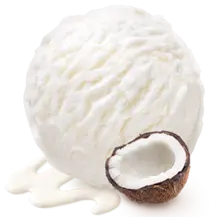 [TUBZ00309] COCONUT ICE CREAM 5LTR