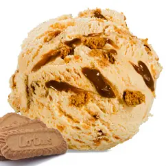[TUBZ845] BISCOFEY ICE CREAM 5LTR