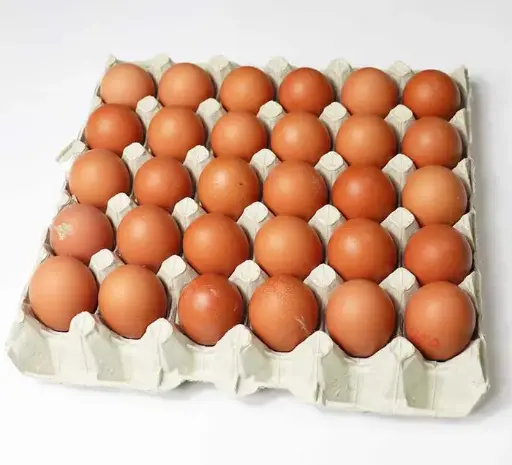 [DWS662] EGGS X24