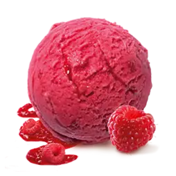 [TUBZ00454] RASPBERRY SORBET ICE CREAM 5LTR