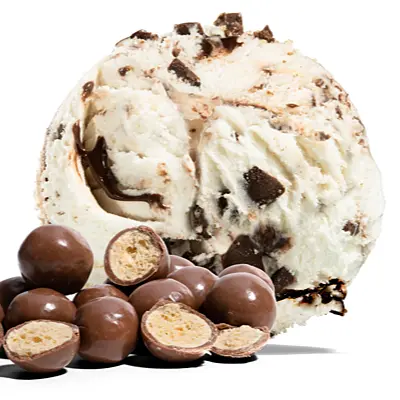 [TUBZ00344] MALTESERS ICE CREAM 5LTR